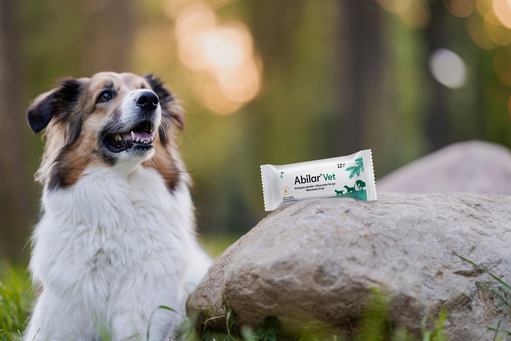 AniWipe® Wet Wipes | wipes for animals