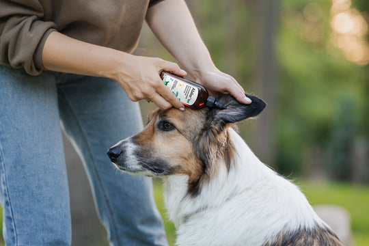 AniVox® Ear Wash | Ear wash for animals