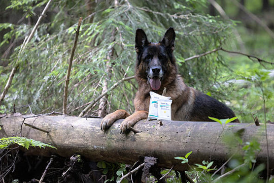 AniWipe® Wet Wipes | wipes for animals