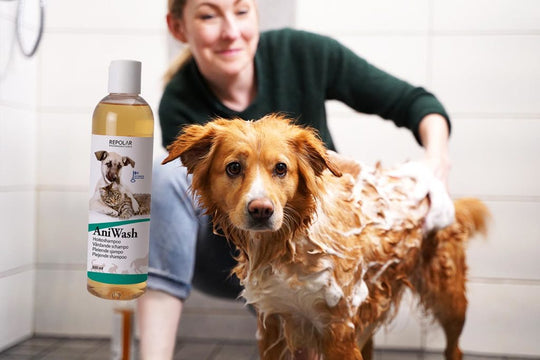 AniWash® Treatment shampoo for animals