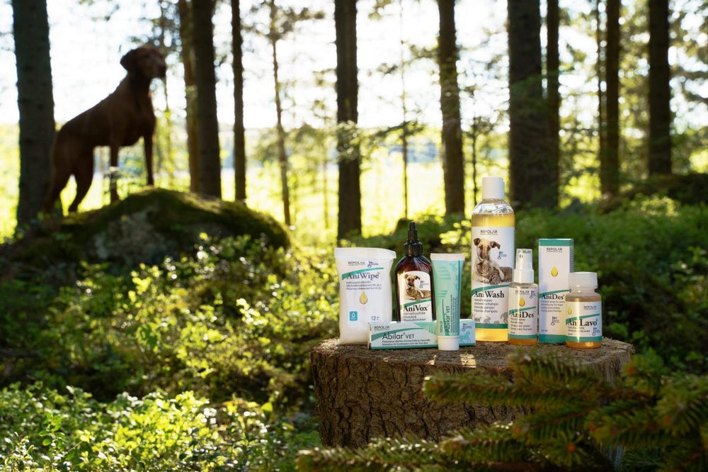 AniDes® Wound Spray | For animal care