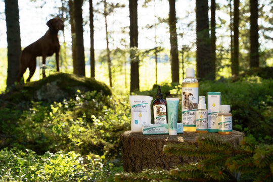 AniDes® Wound Spray | For animal care