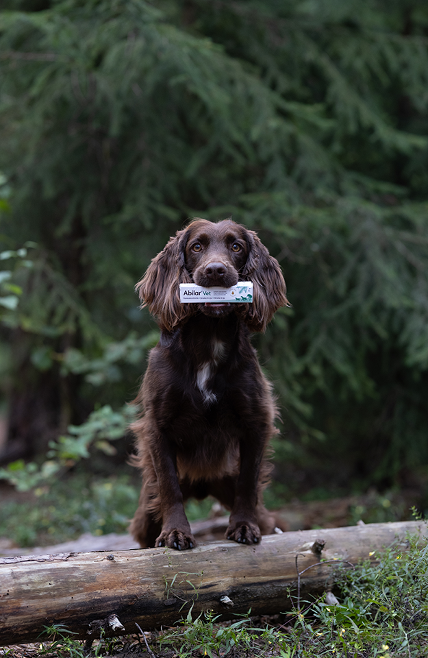 Abilar® Vet | Wound balm for animals