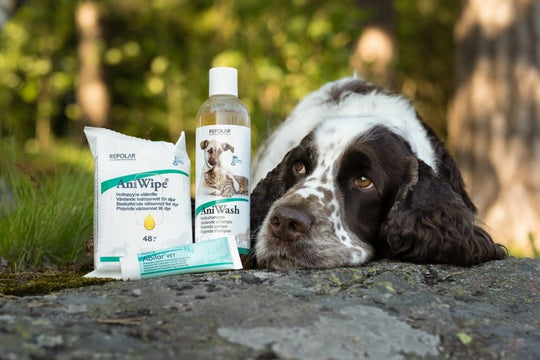 AniWash® Treatment shampoo for animals