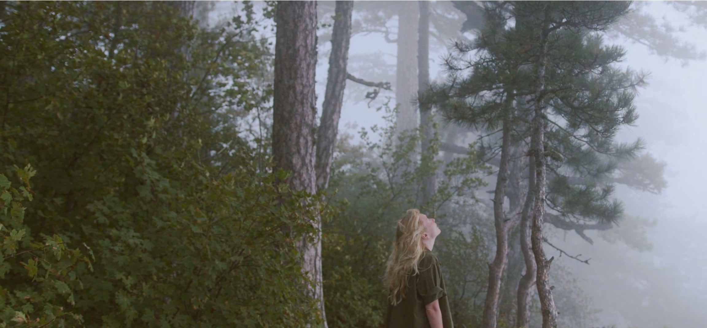 Person with long hair standing in a misty forest